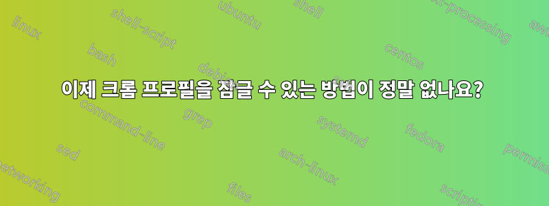 이제 크롬 프로필을 잠글 수 있는 방법이 정말 없나요?