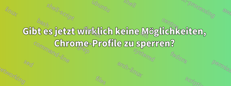 Gibt es jetzt wirklich keine Möglichkeiten, Chrome-Profile zu sperren?