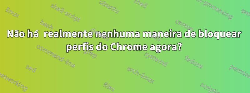 Não há realmente nenhuma maneira de bloquear perfis do Chrome agora?