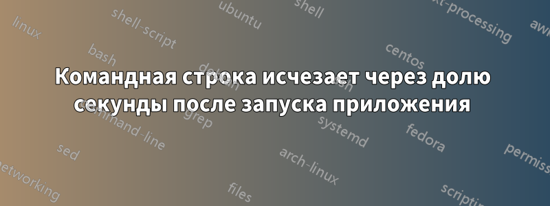 Командная строка исчезает через долю секунды после запуска приложения