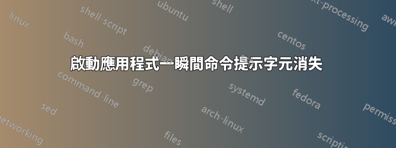 啟動應用程式一瞬間命令提示字元消失