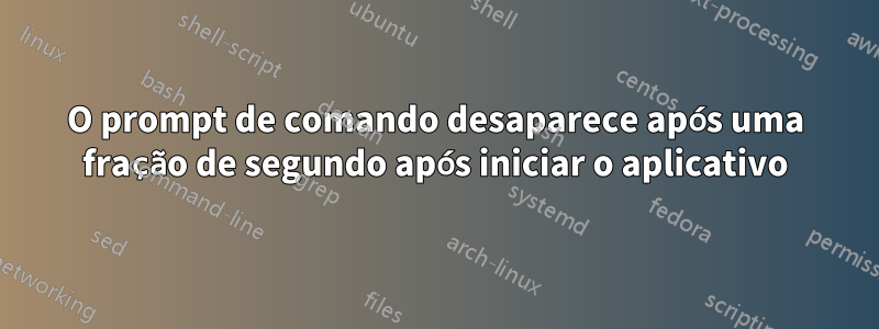 O prompt de comando desaparece após uma fração de segundo após iniciar o aplicativo