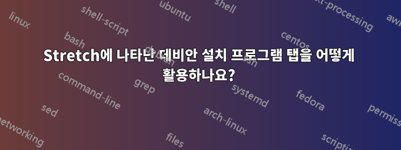 Stretch에 나타난 데비안 설치 프로그램 탭을 어떻게 활용하나요?