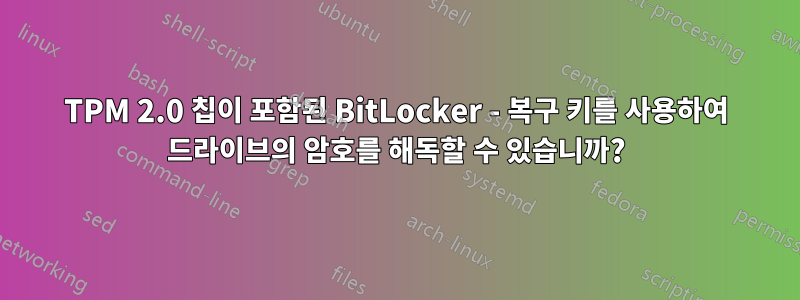 TPM 2.0 칩이 포함된 BitLocker - 복구 키를 사용하여 드라이브의 암호를 해독할 수 있습니까?