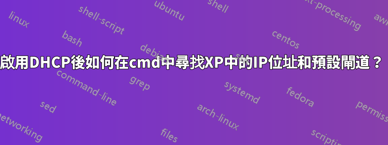 啟用DHCP後如何在cmd中尋找XP中的IP位址和預設閘道？