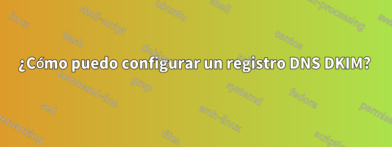 ¿Cómo puedo configurar un registro DNS DKIM?