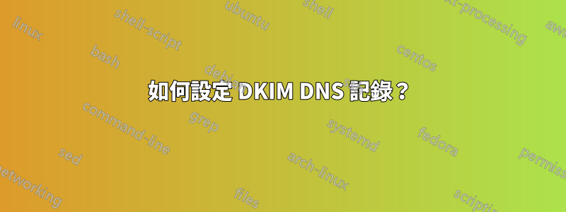 如何設定 DKIM DNS 記錄？