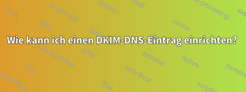 Wie kann ich einen DKIM-DNS-Eintrag einrichten?