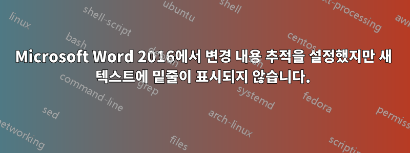 Microsoft Word 2016에서 변경 내용 추적을 설정했지만 새 텍스트에 밑줄이 표시되지 않습니다.