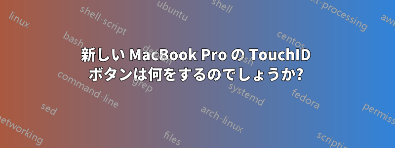 新しい MacBook Pro の TouchID ボタンは何をするのでしょうか?