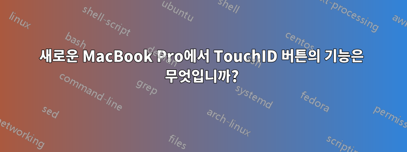 새로운 MacBook Pro에서 TouchID 버튼의 기능은 무엇입니까?