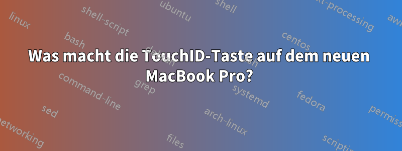 Was macht die TouchID-Taste auf dem neuen MacBook Pro?