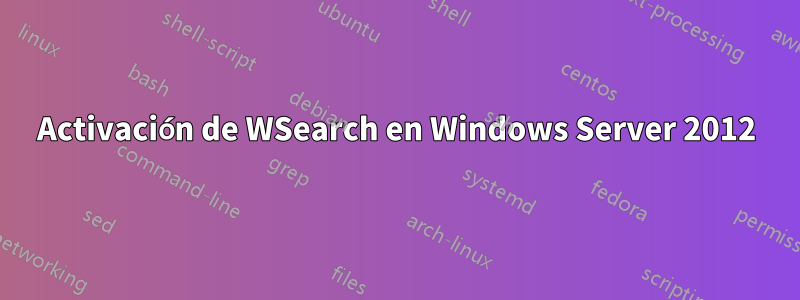 Activación de WSearch en Windows Server 2012