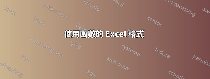 使用函數的 Excel 格式