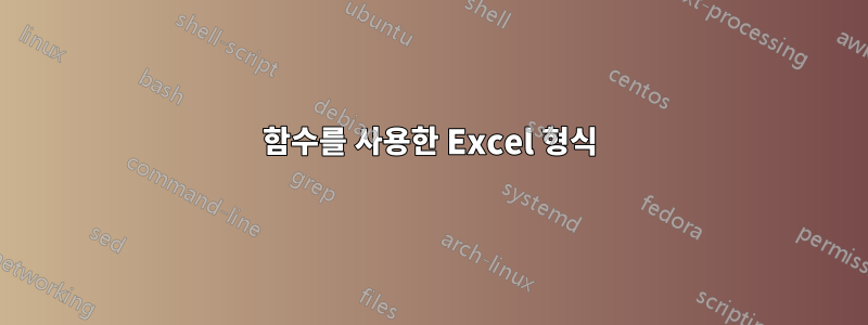 함수를 사용한 Excel 형식