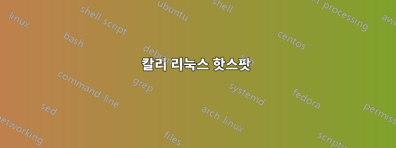 칼리 리눅스 핫스팟