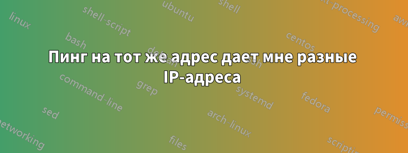 Пинг на тот же адрес дает мне разные IP-адреса