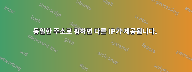 동일한 주소로 핑하면 다른 IP가 제공됩니다.