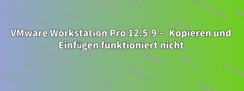 VMware Workstation Pro 12.5.9 – Kopieren und Einfügen funktioniert nicht