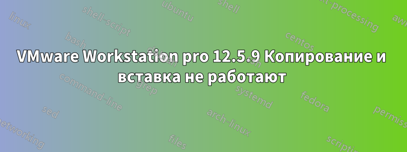 VMware Workstation pro 12.5.9 Копирование и вставка не работают