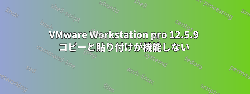 VMware Workstation pro 12.5.9 コピーと貼り付けが機能しない