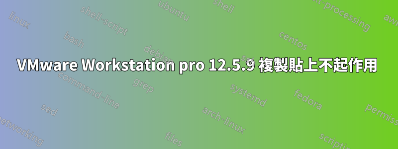 VMware Workstation pro 12.5.9 複製貼上不起作用