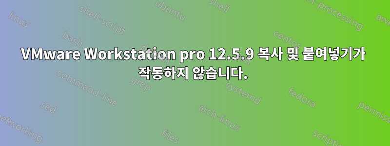 VMware Workstation pro 12.5.9 복사 및 붙여넣기가 작동하지 않습니다.