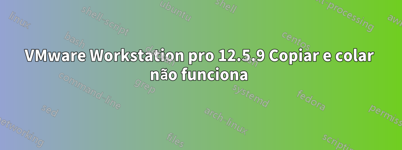 VMware Workstation pro 12.5.9 Copiar e colar não funciona