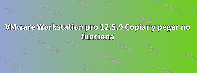 VMware Workstation pro 12.5.9 Copiar y pegar no funciona