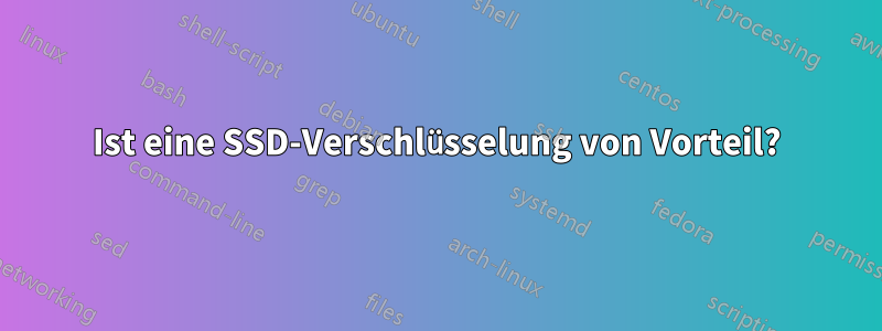 Ist eine SSD-Verschlüsselung von Vorteil?