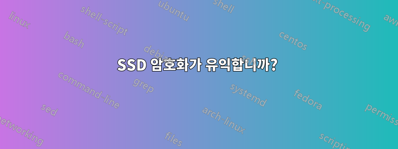 SSD 암호화가 유익합니까?