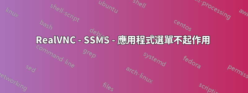 RealVNC - SSMS - 應用程式選單不起作用