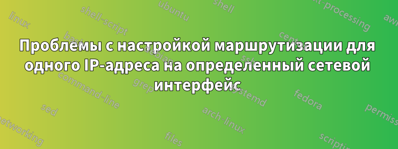 Проблемы с настройкой маршрутизации для одного IP-адреса на определенный сетевой интерфейс