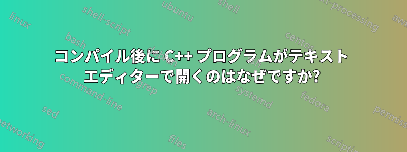 コンパイル後に C++ プログラムがテキスト エディターで開くのはなぜですか?