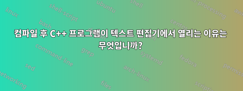 컴파일 후 C++ 프로그램이 텍스트 편집기에서 열리는 이유는 무엇입니까?