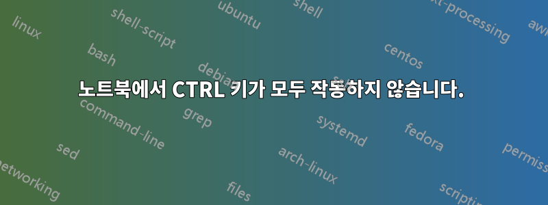 노트북에서 CTRL 키가 모두 작동하지 않습니다.