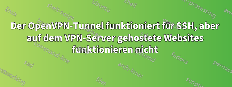 Der OpenVPN-Tunnel funktioniert für SSH, aber auf dem VPN-Server gehostete Websites funktionieren nicht