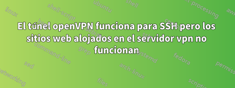 El túnel openVPN funciona para SSH pero los sitios web alojados en el servidor vpn no funcionan