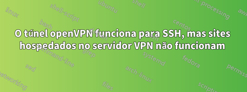 O túnel openVPN funciona para SSH, mas sites hospedados no servidor VPN não funcionam