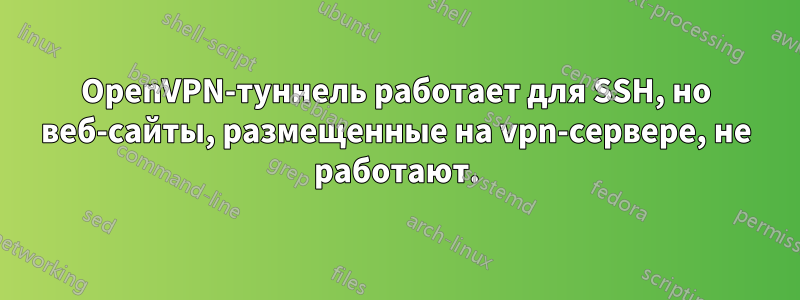 OpenVPN-туннель работает для SSH, но веб-сайты, размещенные на vpn-сервере, не работают.