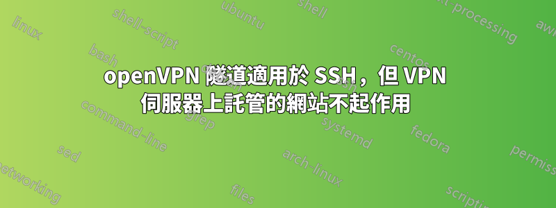 openVPN 隧道適用於 SSH，但 VPN 伺服器上託管的網站不起作用