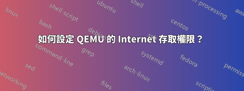 如何設定 QEMU 的 Internet 存取權限？