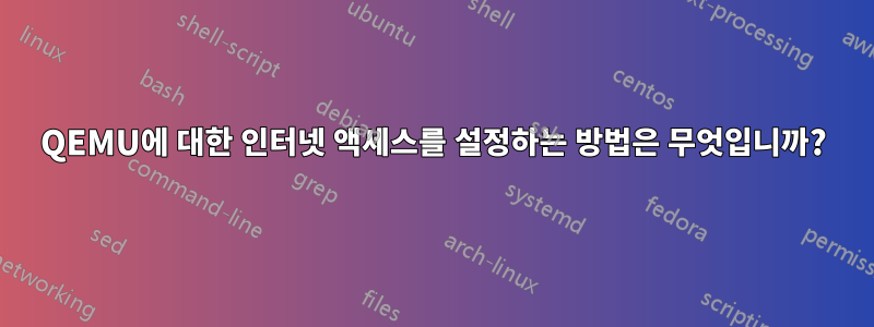 QEMU에 대한 인터넷 액세스를 설정하는 방법은 무엇입니까?