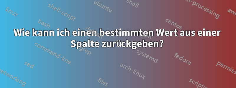 Wie kann ich einen bestimmten Wert aus einer Spalte zurückgeben?