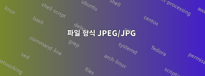 파일 형식 JPEG/JPG