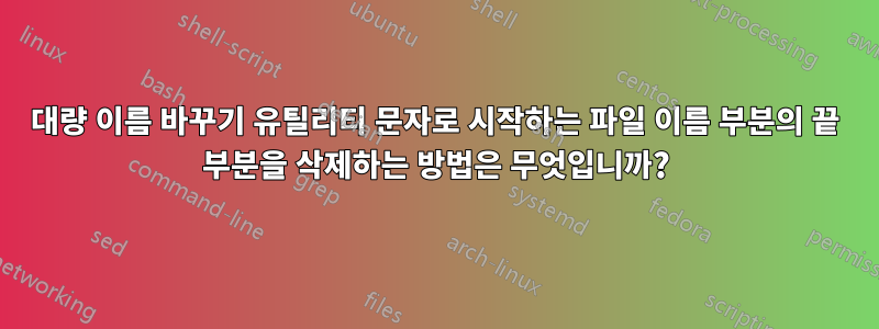 대량 이름 바꾸기 유틸리티 문자로 시작하는 파일 이름 부분의 끝 부분을 삭제하는 방법은 무엇입니까?