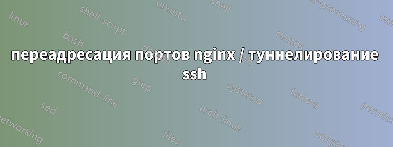 переадресация портов nginx / туннелирование ssh