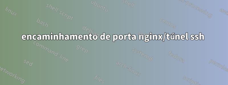 encaminhamento de porta nginx/túnel ssh