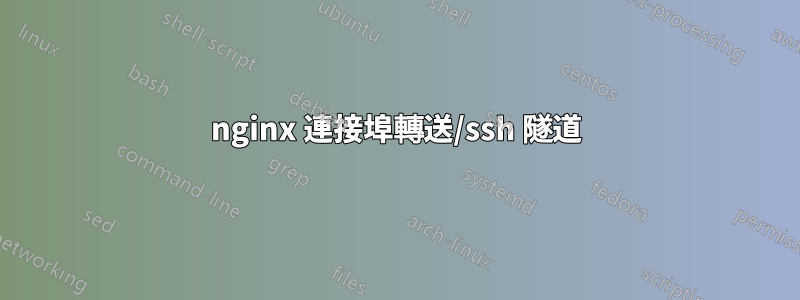 nginx 連接埠轉送/ssh 隧道