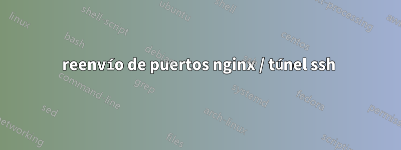 reenvío de puertos nginx / túnel ssh